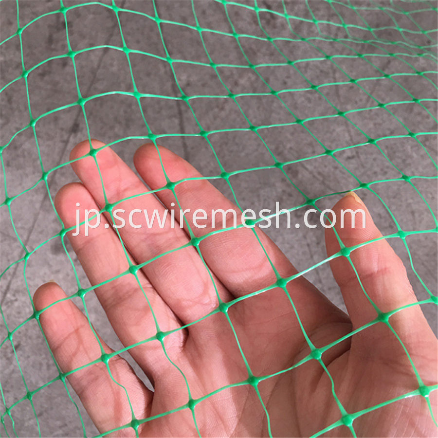 Green Bird Net